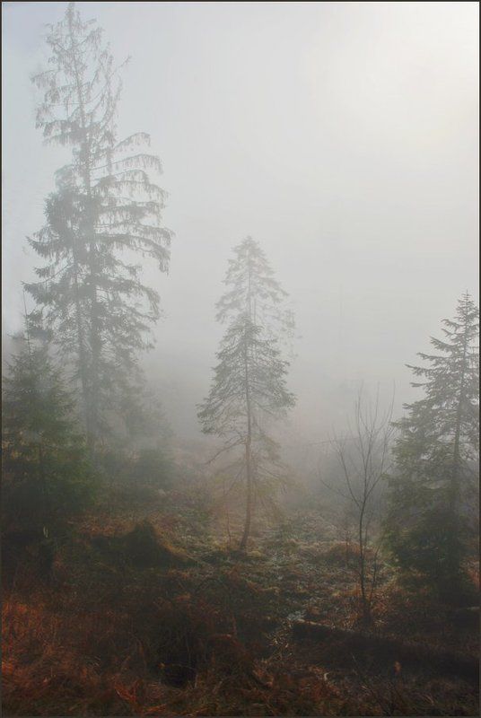 Туманная серия 2(7) фото превью