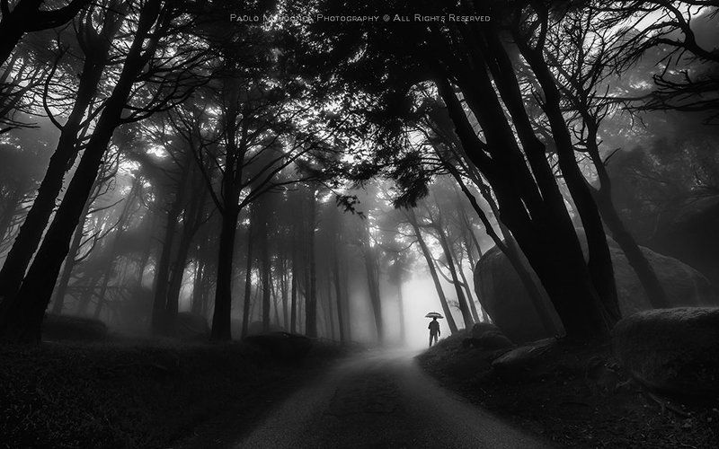 Through the mist фото превью