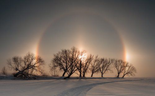 Паломники