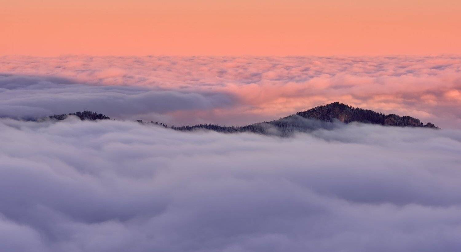 , Максим Евдокимов