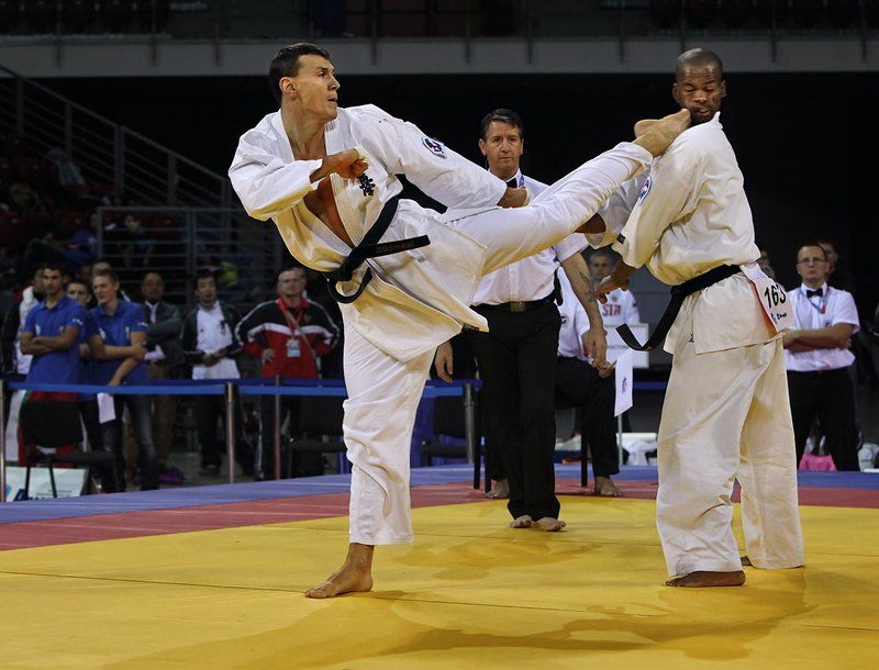 кекусинкай,чемпионат мира,стародуюцев дмитрий,савельев дмитрий,2013 Победный удар фото превью