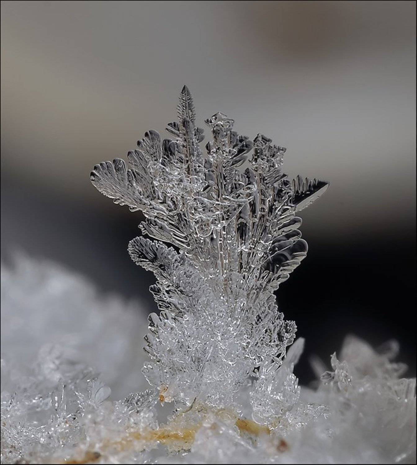 , Андрей Осокин