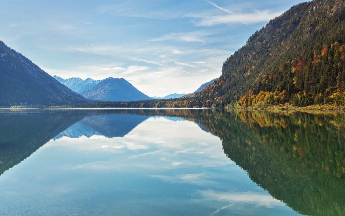 , Александр Удовиченко