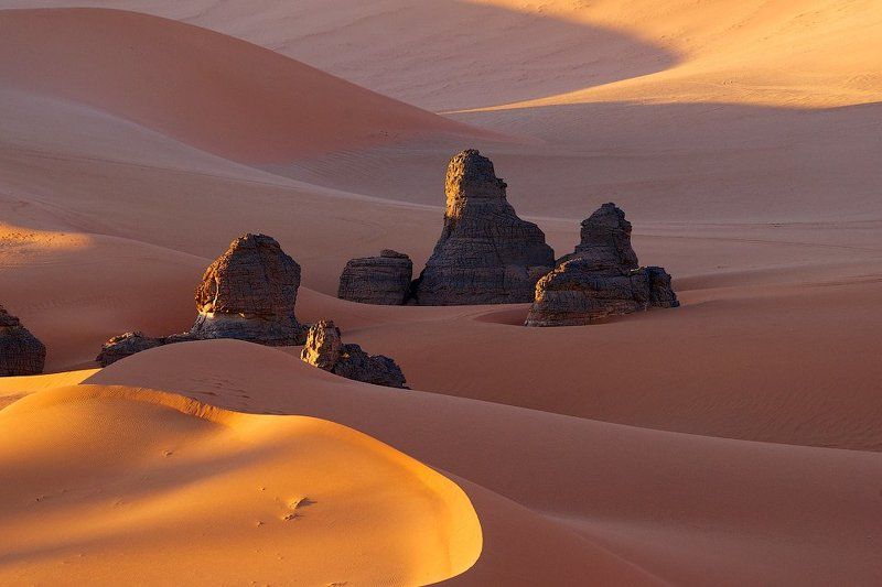 Про теплый январский вечер фото превью