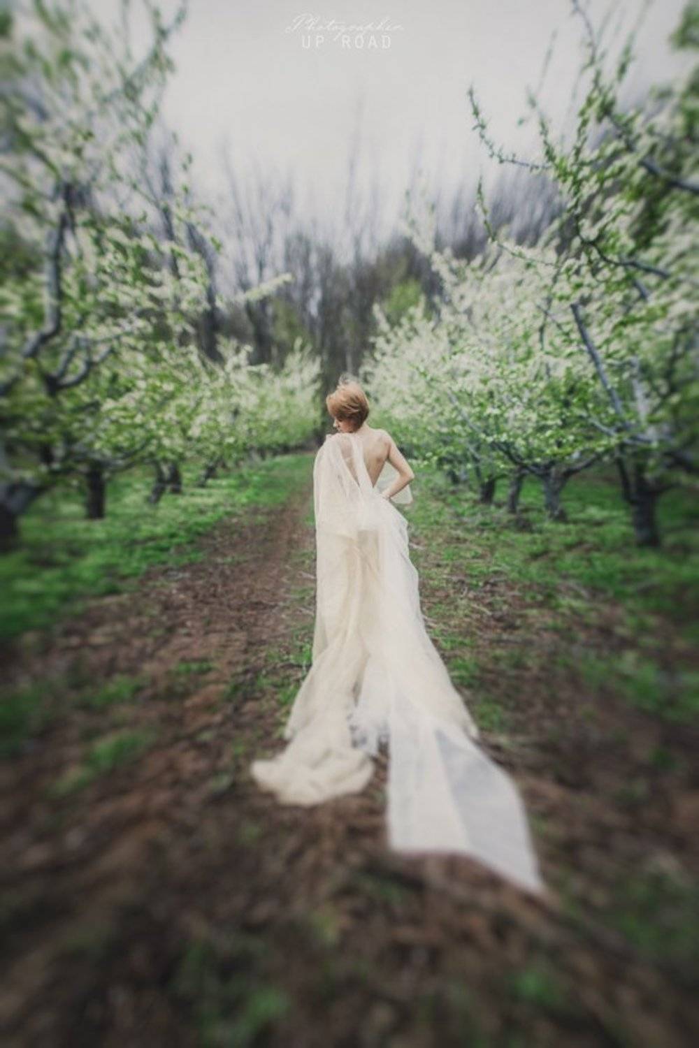 , Апрод Лёля