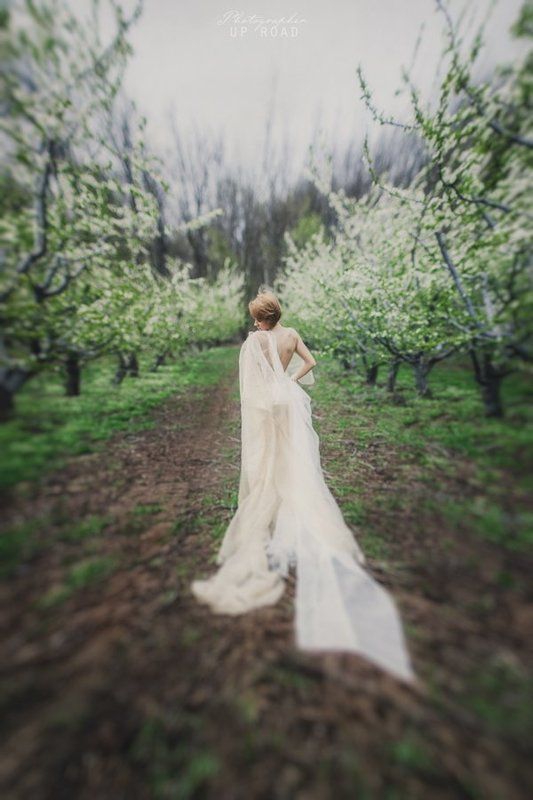 Она нашла себя в таинственном саду фото превью