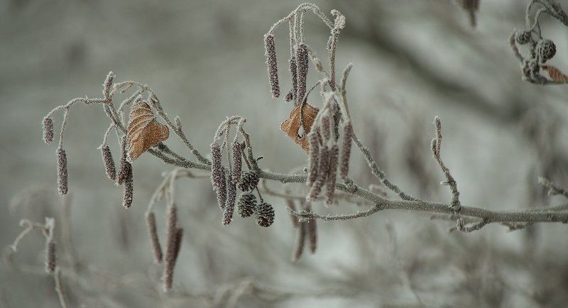 ***** фото превью