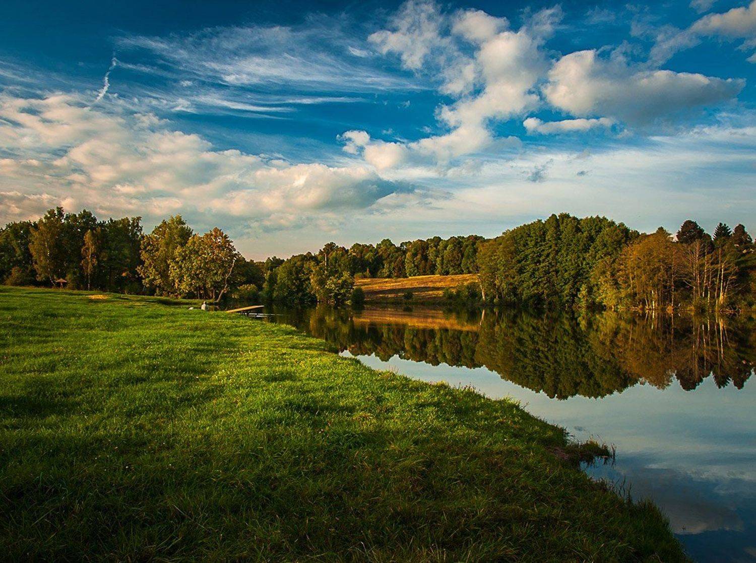 , Анатолий Зверев