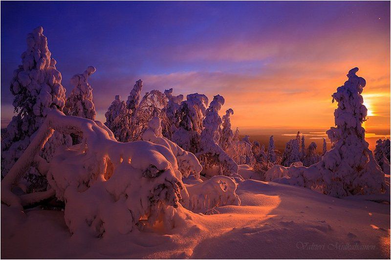 Последние краски уходящего дня ... фото превью