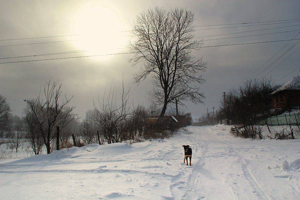 , Киливник Наталия(Metron)