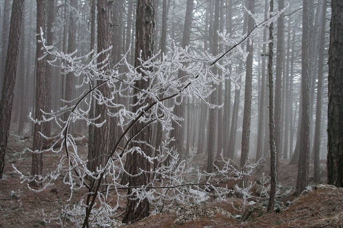 , Виталий Ра