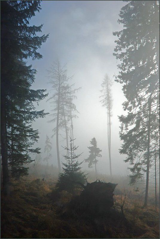 Туманная серия 2(8) фото превью