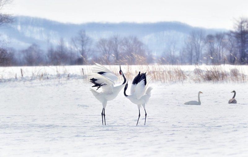 Just the two of us in love фото превью