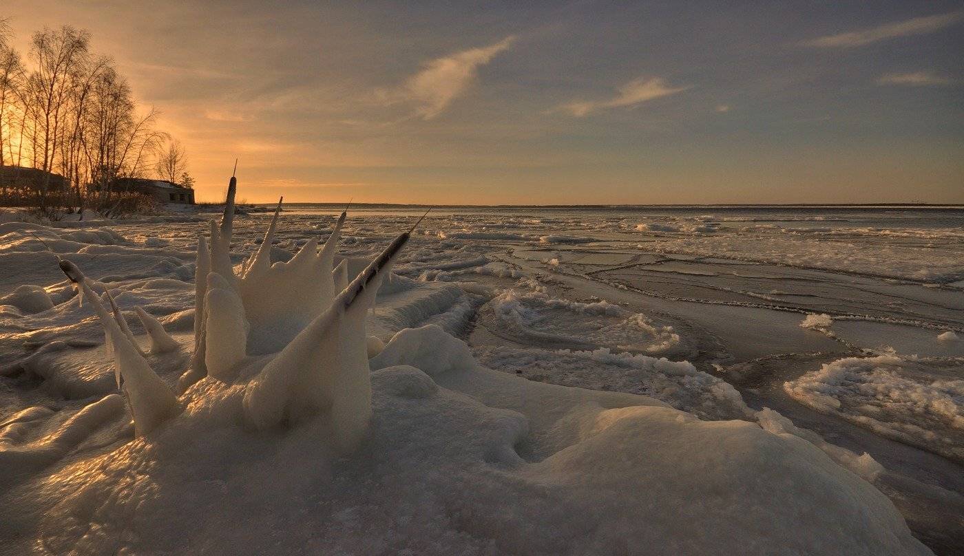 , Володимир Карчевський
