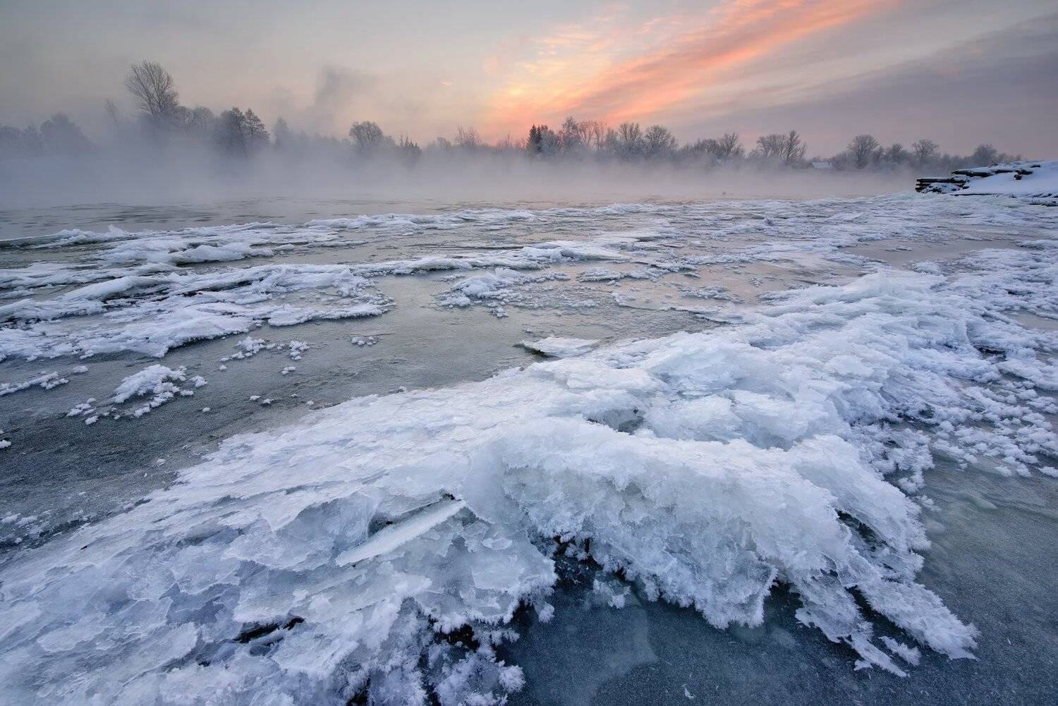 , Максим Евдокимов