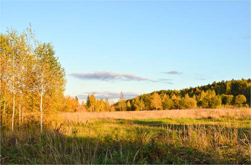 Осень золотая
