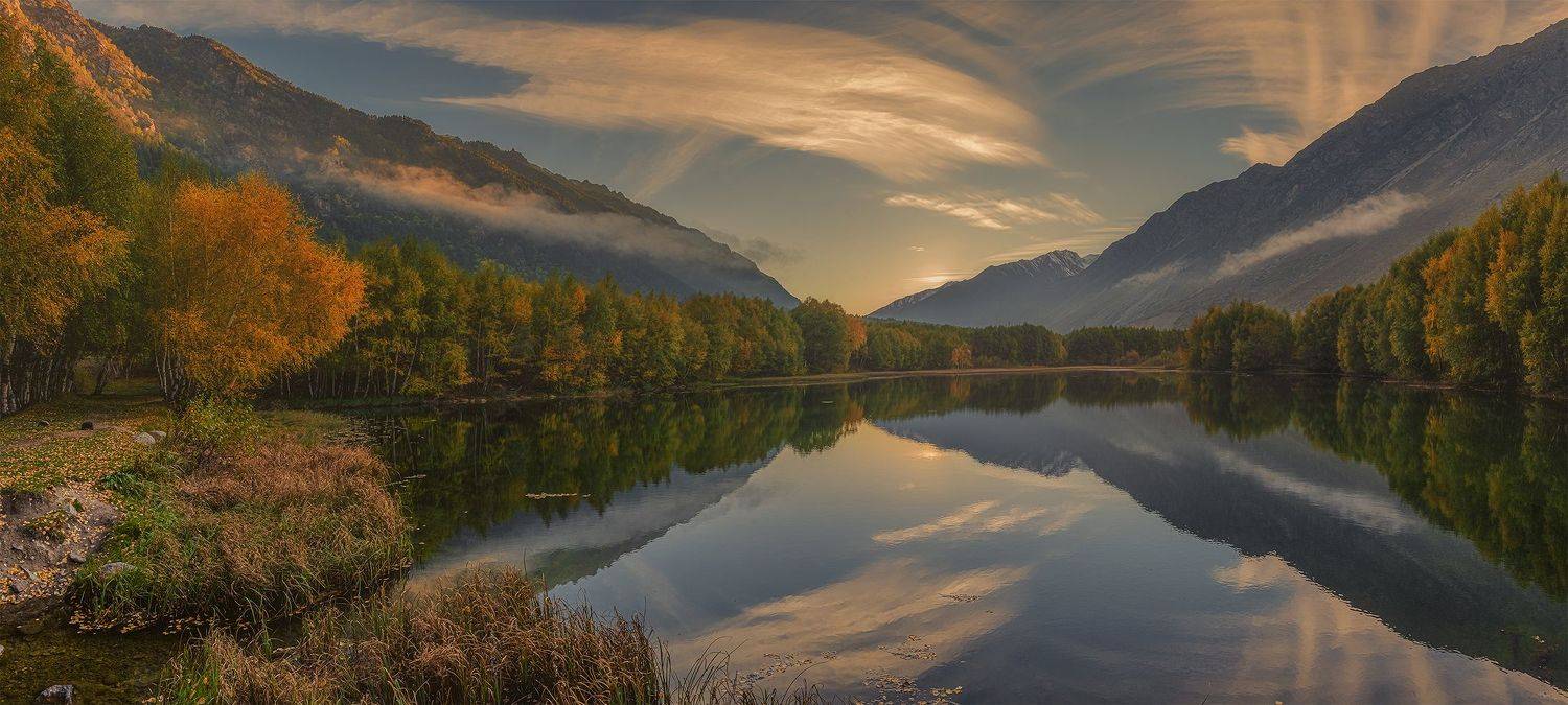 , ДМИТРИЙ ПУЗЕНКО