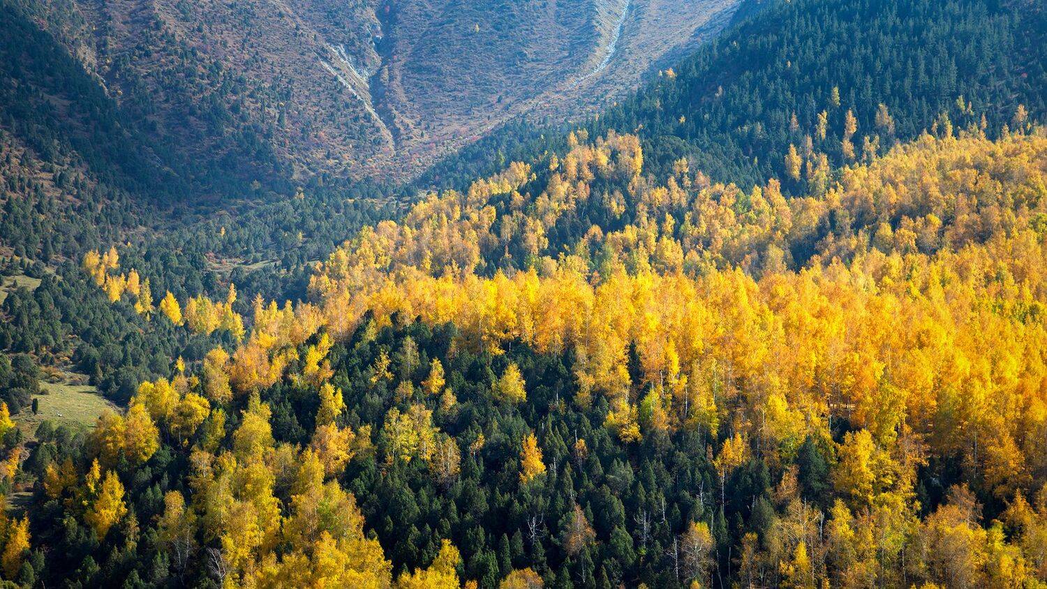 кыргызстан, горы, Элина Магалимова