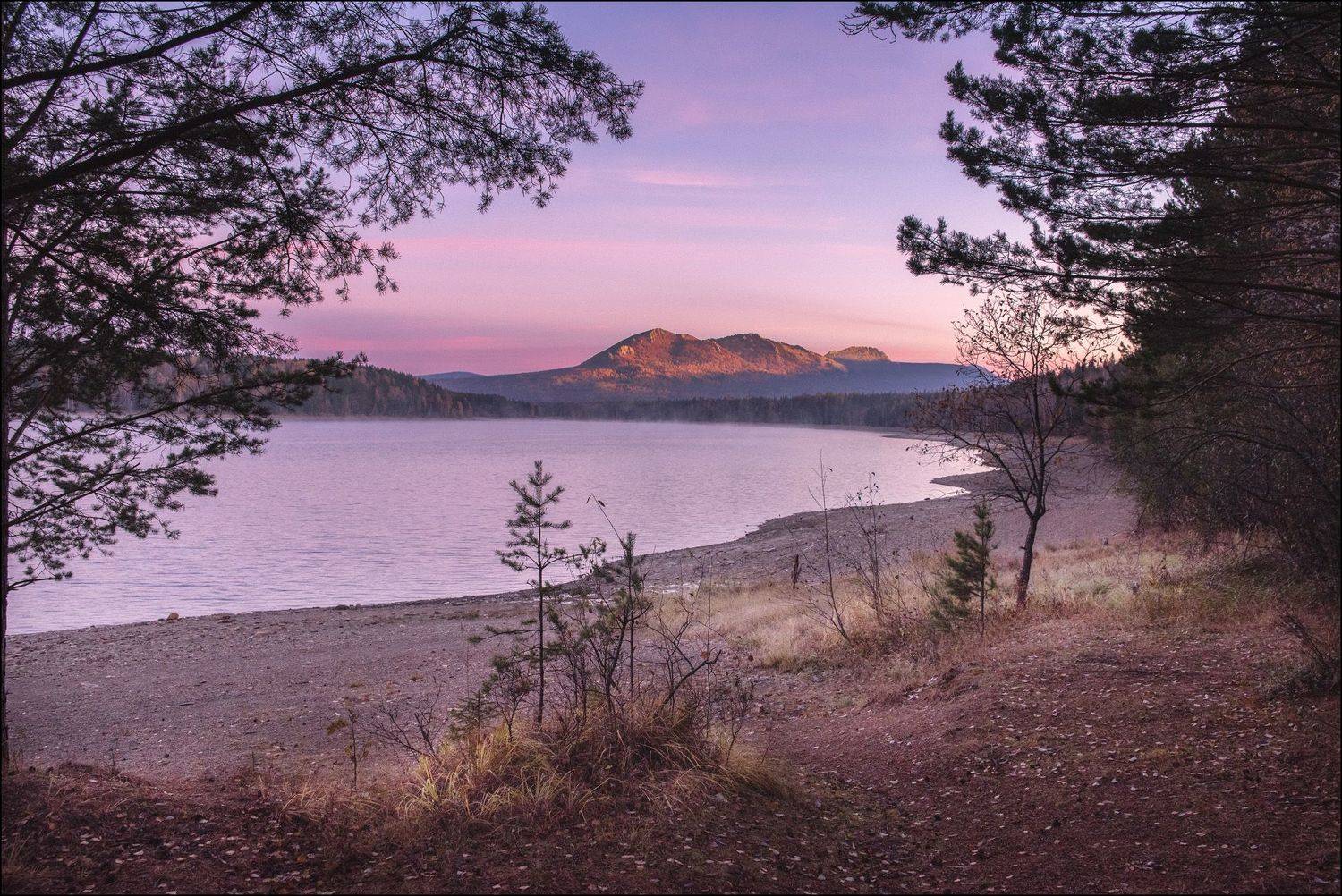 , Илья Бисеров