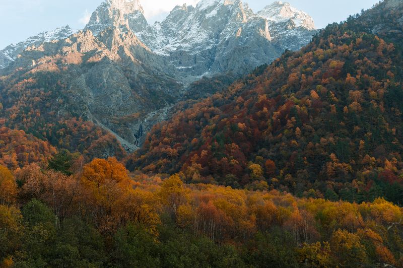Цей фото превью