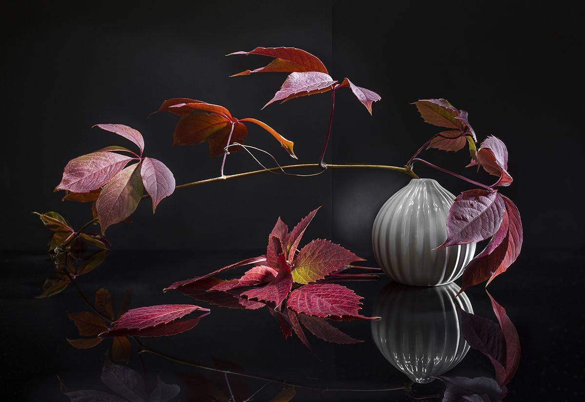 , Евгений Попов