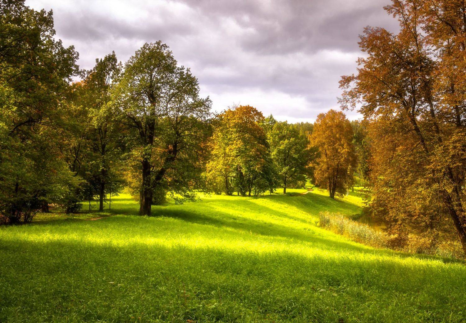 , Алексей Герасимов