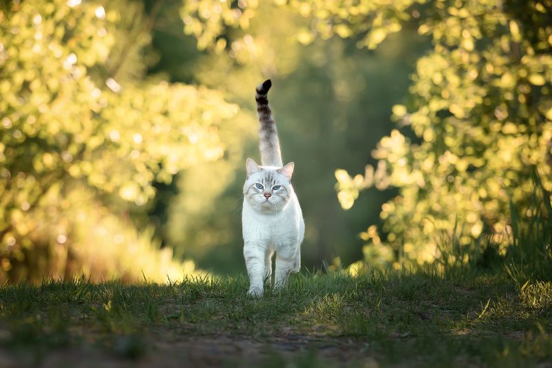 Важный парень ) фото превью