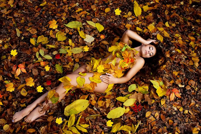 Осень фото превью