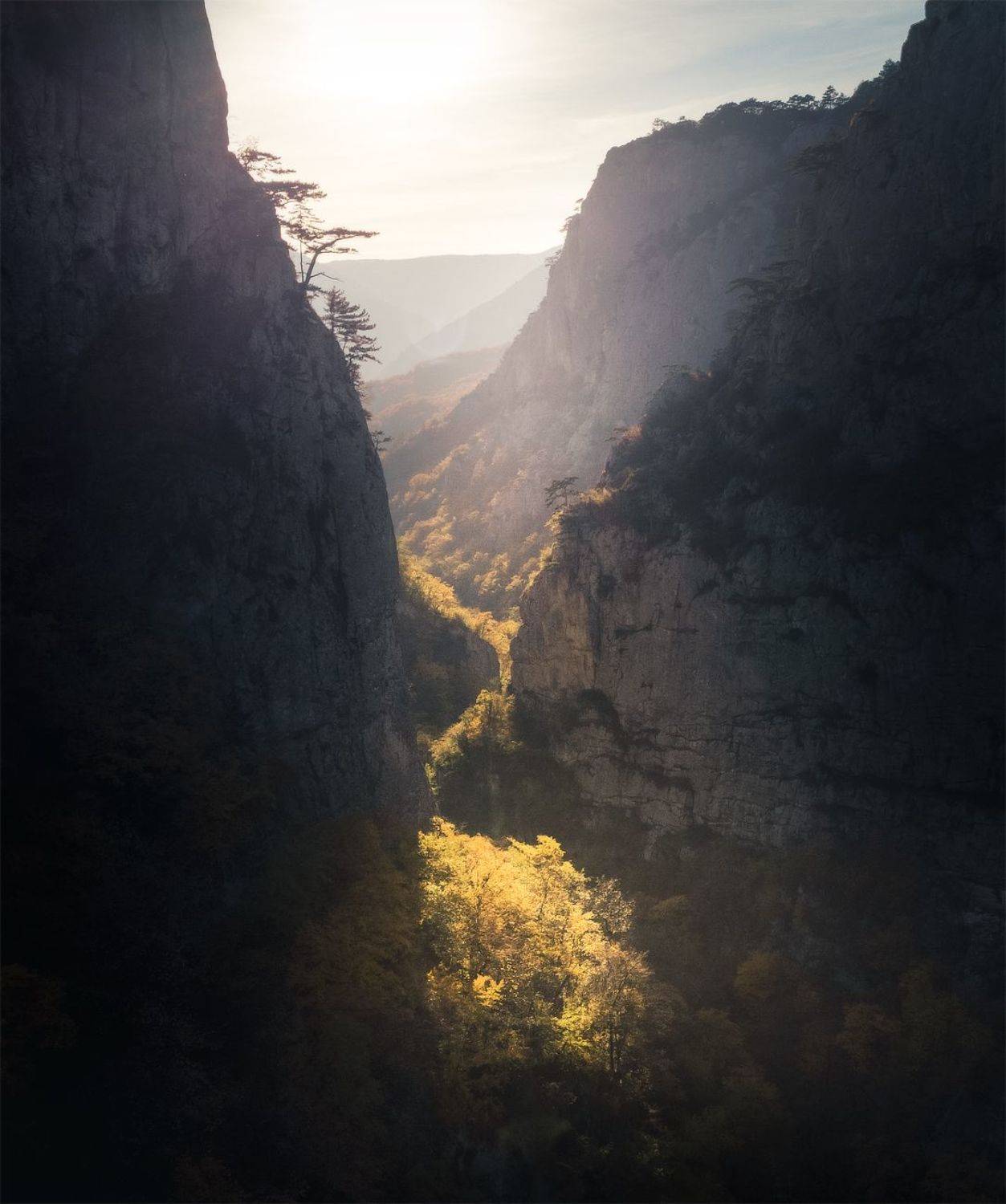 , Михаил Гапонов