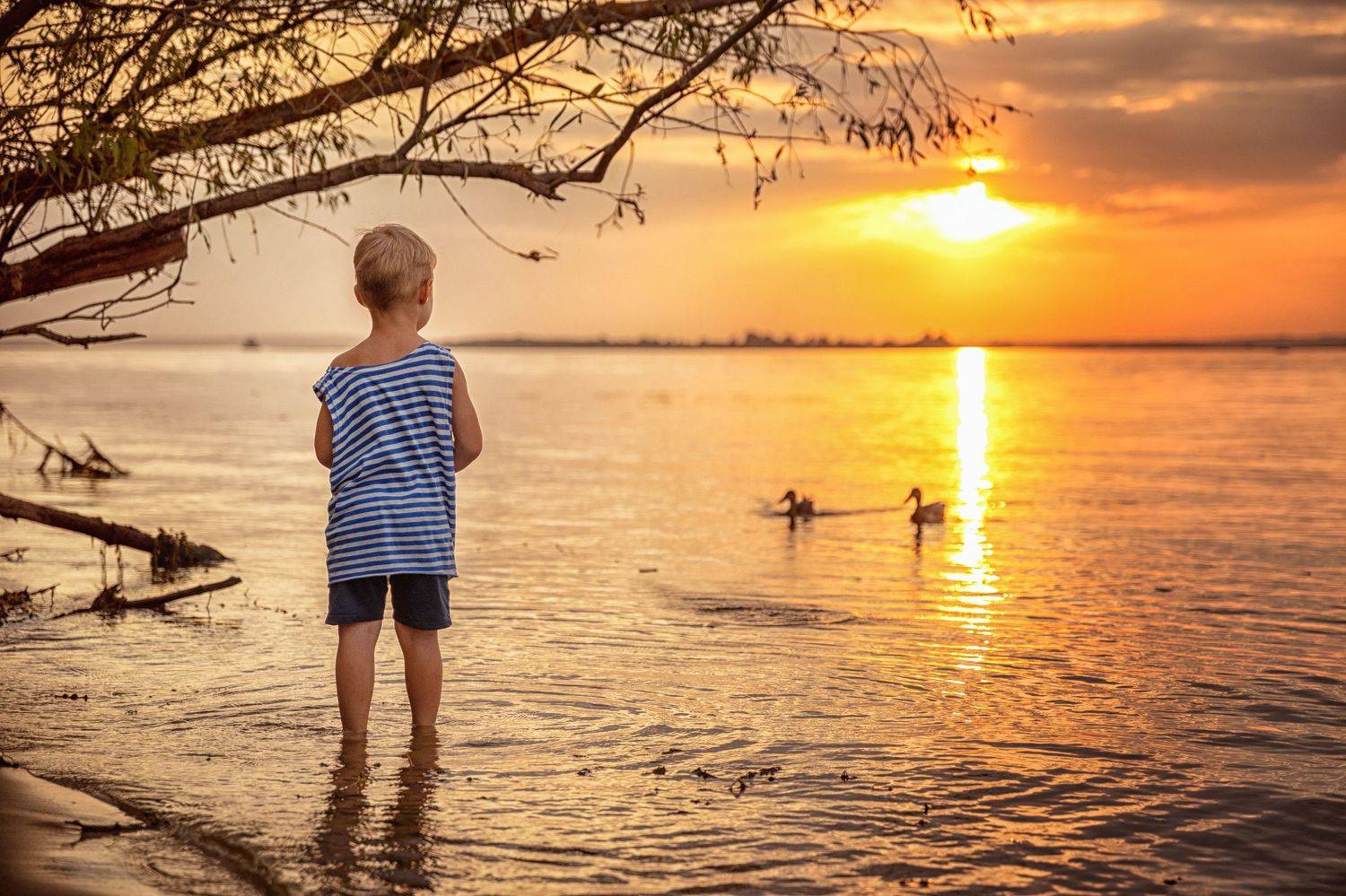 Закат, Регина Гущина