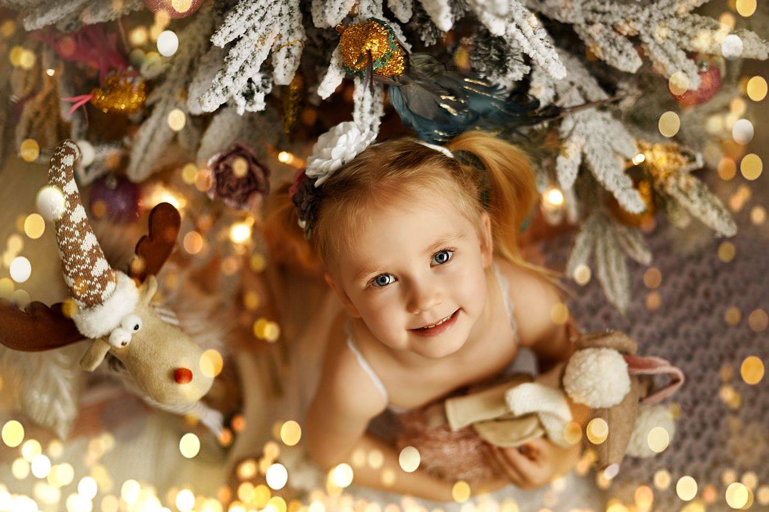  девочка сон новогодний портрет детская сказка, Анастасия Алексеева