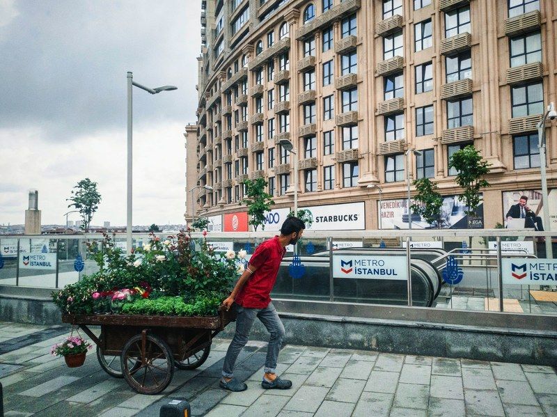 Florist фото превью