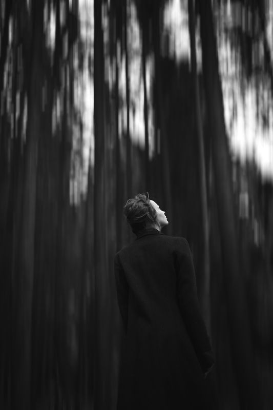 ,,, фото превью