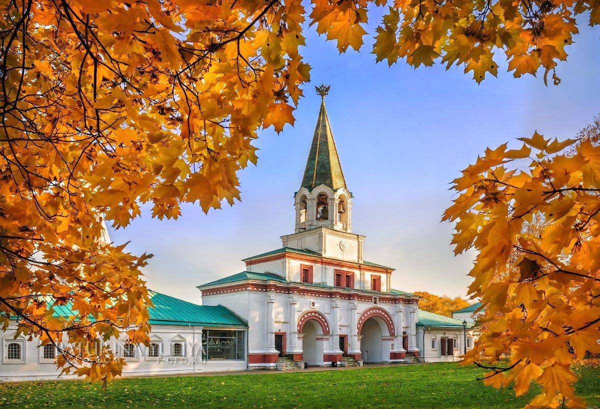 В кленовых листьях. Автор: Юлия Батурина москва, коломенское, Юлия Батурина