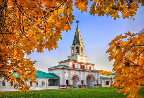 В кленовых листьях