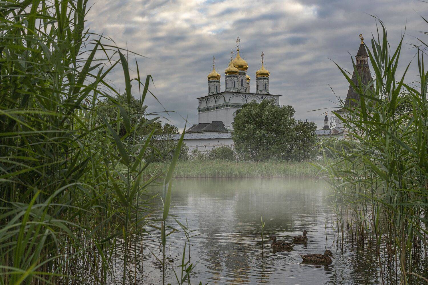 Волоколамский район, Елена Гусева