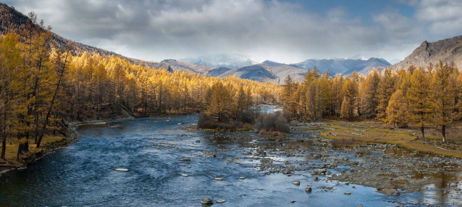 , Алексей Трофимов