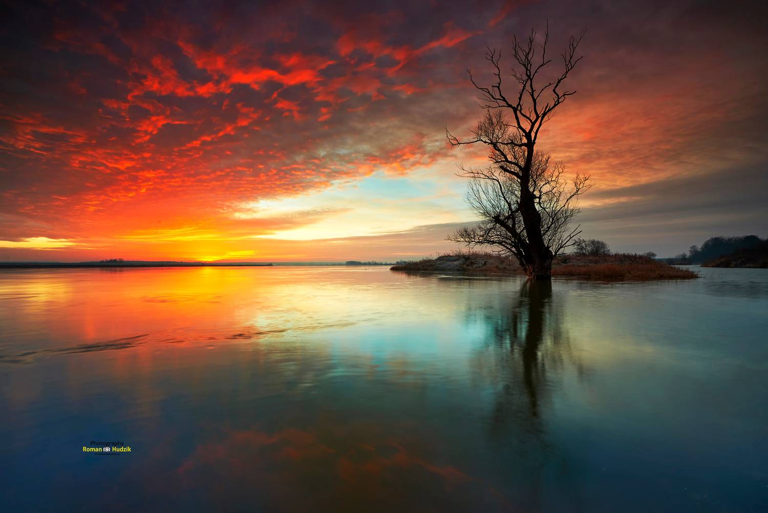 river, landscape, sunrise water, tree, lonely tree,, Roman Hudzik