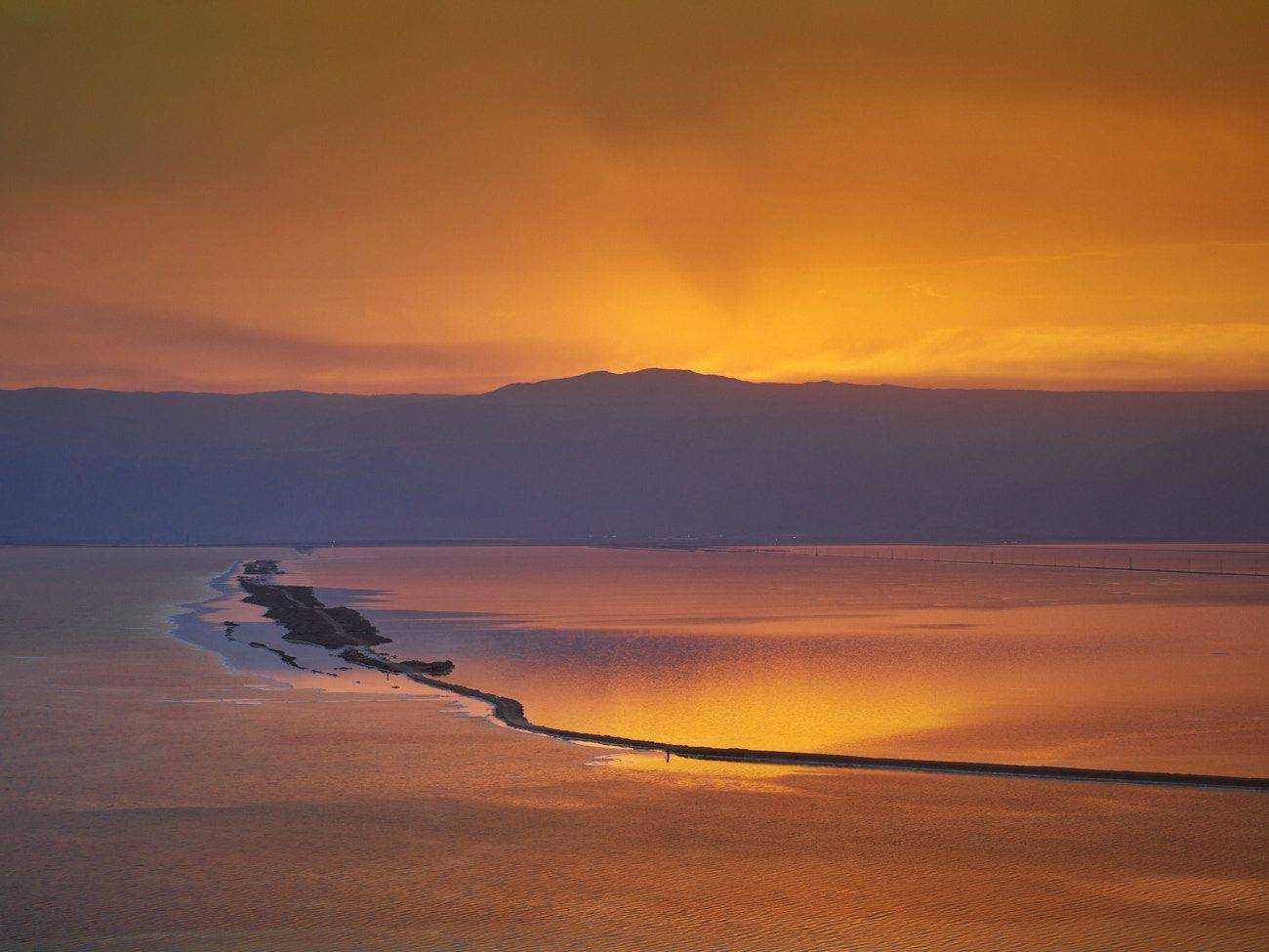 , David Solodar