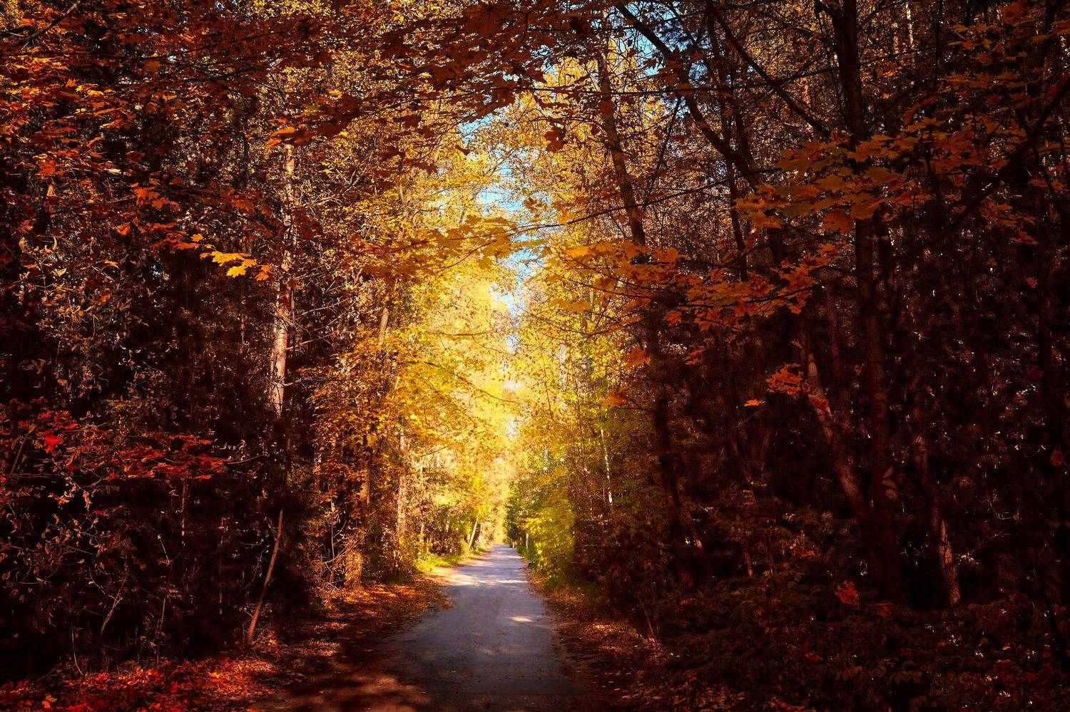 , Булатов Дмитрий