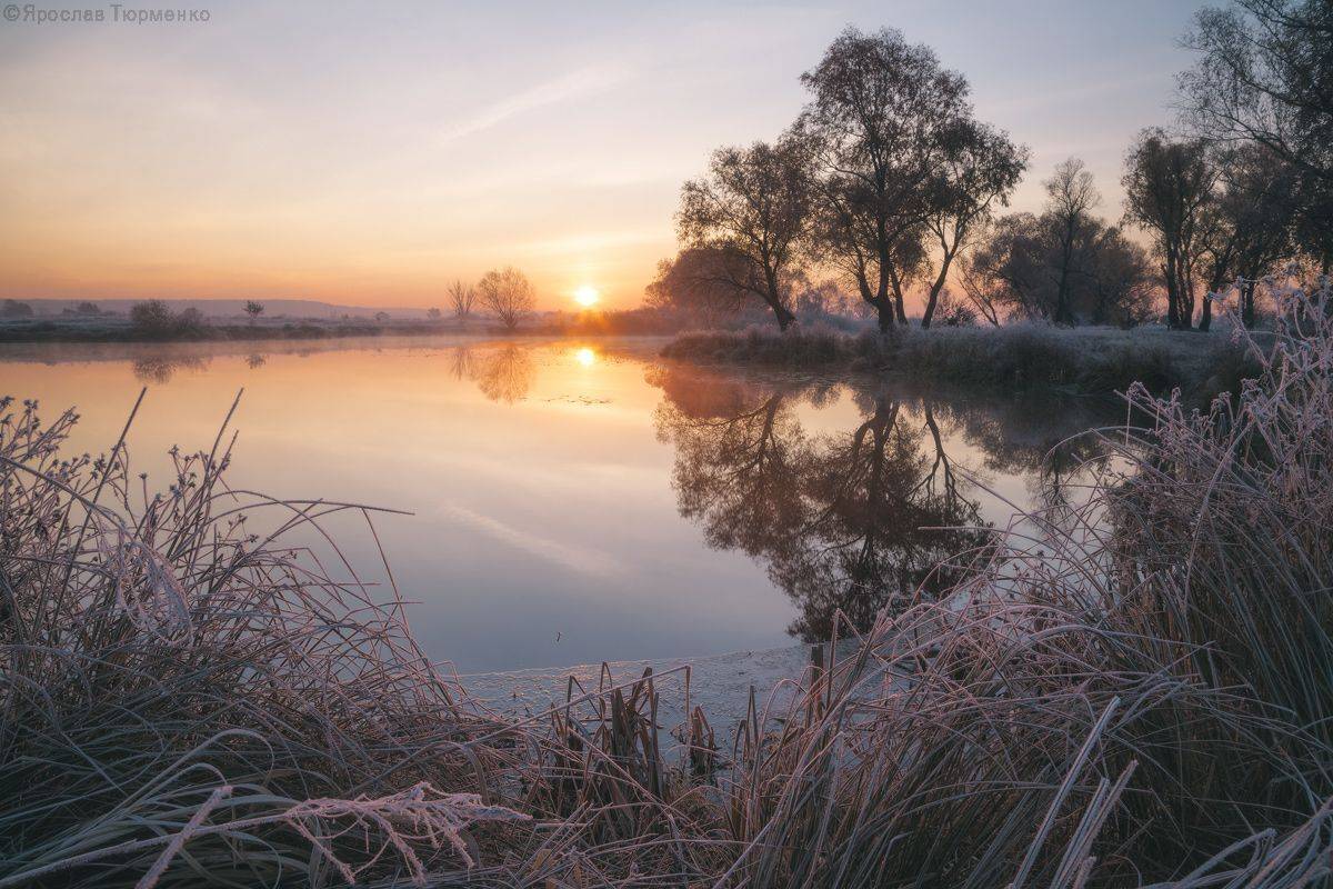 , Ярослав Тюрменко (Jaremi)