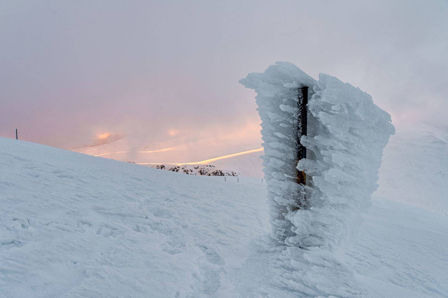 , Пламен Куденко