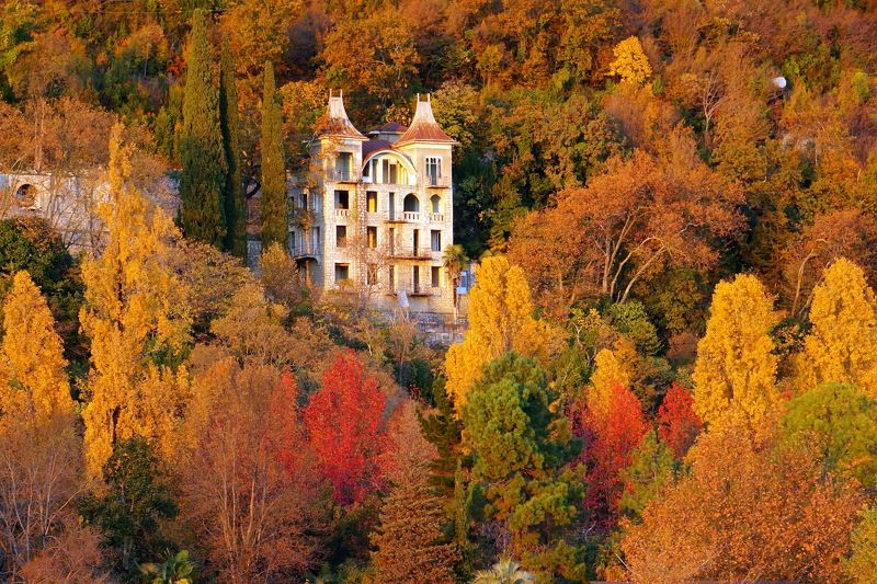 осень Гагры. Осенним днём в Гаграх фото превью