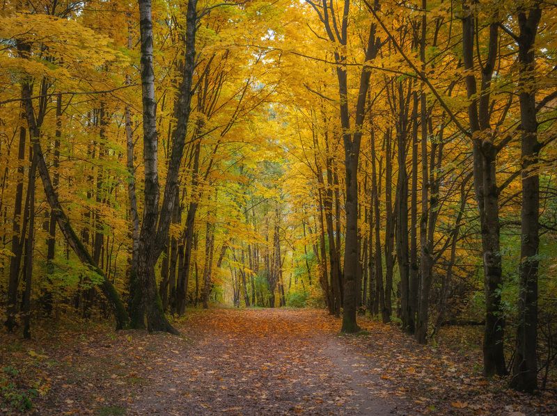 Осень фото превью