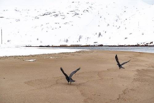 natural attractions of the Barents sea coast