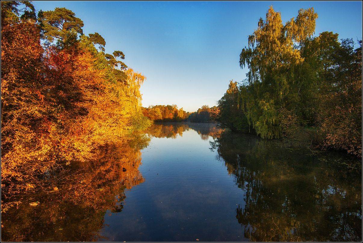 москва, осень, утро, озеро, АНАТОЛИЙ ДОВЫДЕНКО