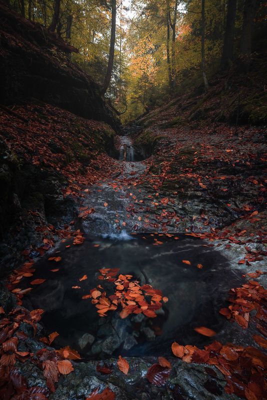 Slovakia paradise II фото превью