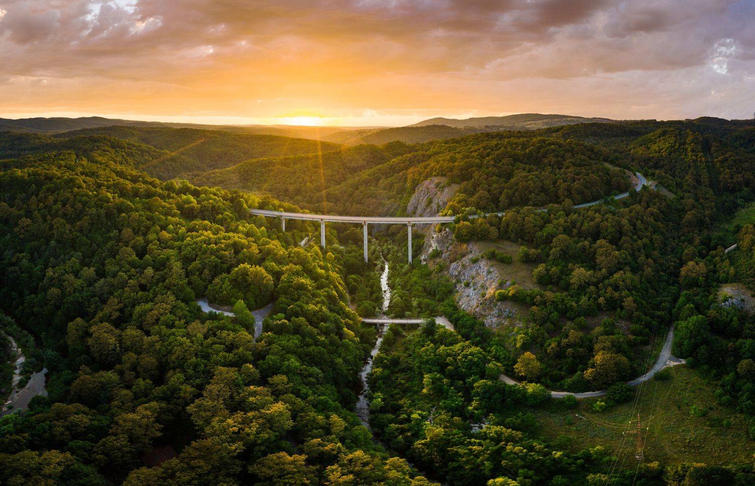 Into the magic woods, Радослав Сотиров