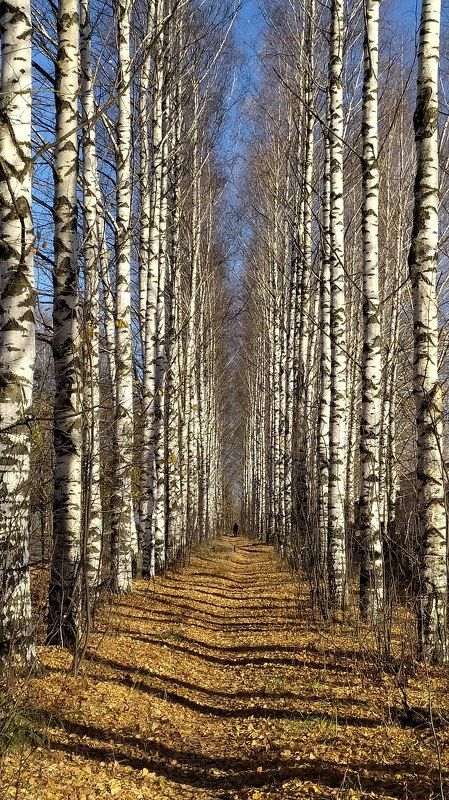 Осенний переулок фото превью