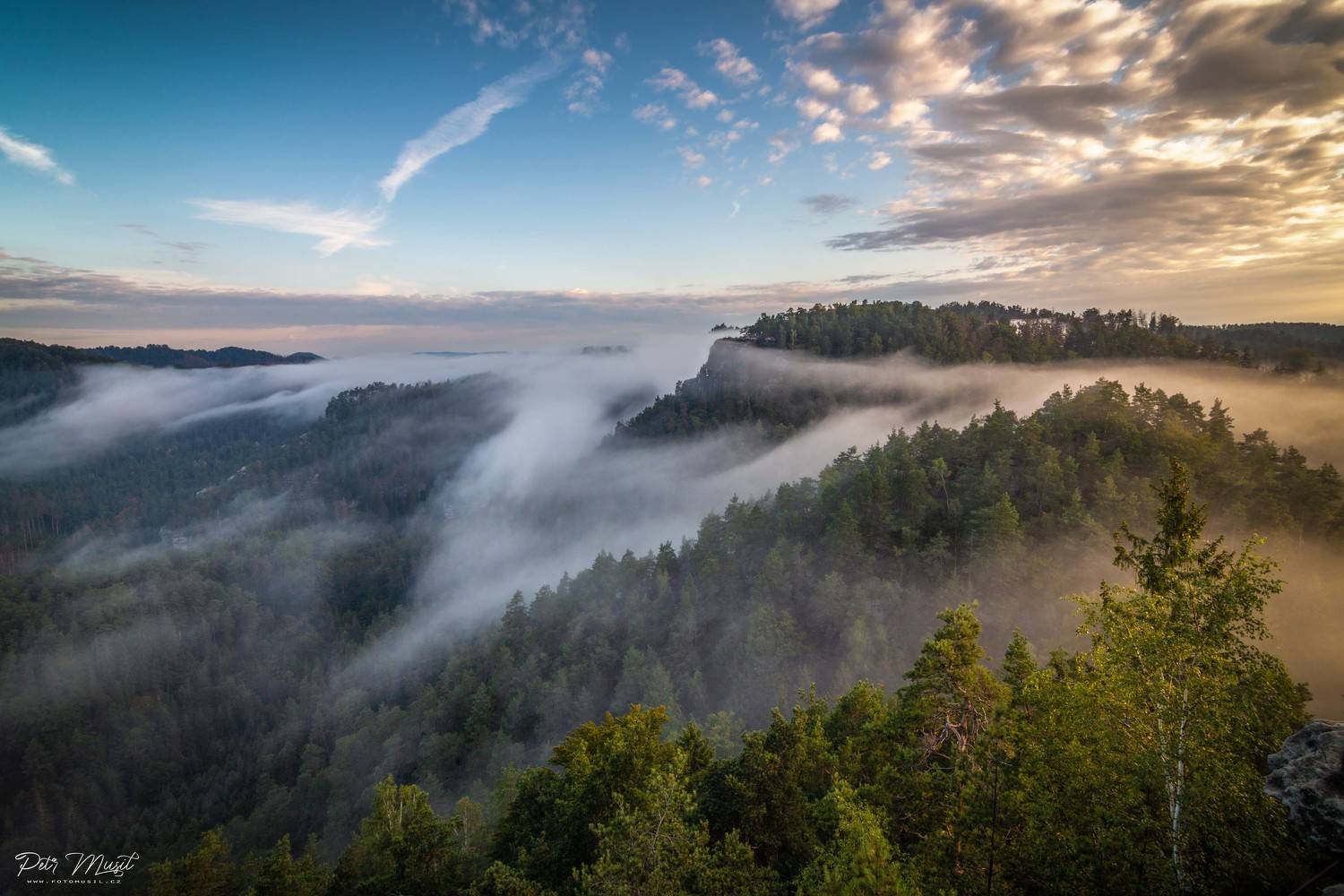 morning, sunrise, fog, fogs, tree, czech, park, rock, Petr Musil